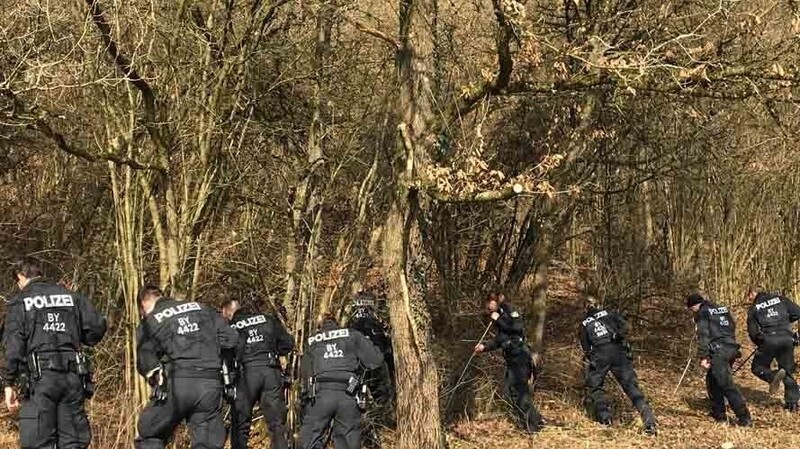 Polizeibeamte bei der Absuche des Waldstücks in Tegernheim (Kreis Regensburg). Dort hatten Waldarbeiter wenige Tage zuvor den skelettierten Schädel eines Menschen gefunden.