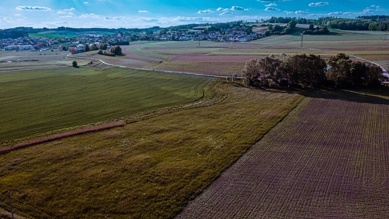 Auf der Luftbildaufnahme ist das oberirdische Grabhügelfeld in den Mooswiesen (von unten link zur Bildmitte) gut erkennbar.