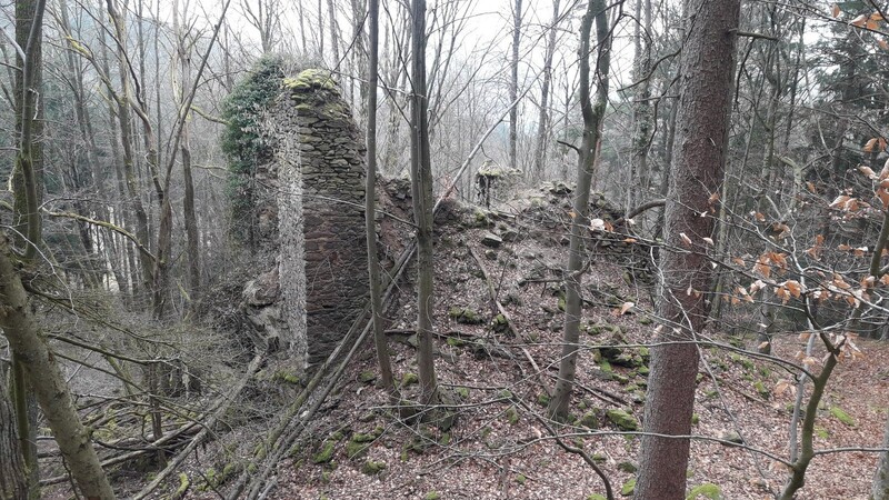Nur wenige Mauerreste im Wald stehen von der einstigen Kastenburg Höhenstein noch. Sie muss an einer Salzhandelsroute ins Böhmische gelegen haben.