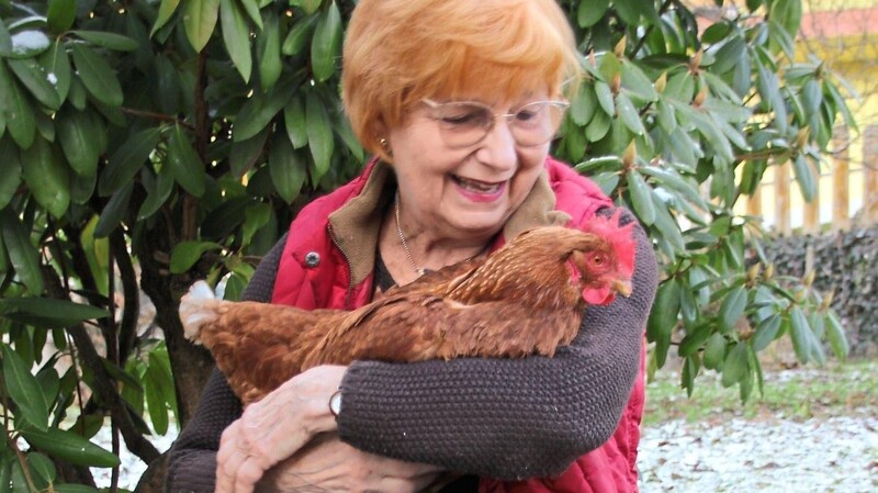 Rosemarie Fandrée und ihr Huhn Frieda. Die Dame hat ein Herz für Tiere. Und das spüren die Vierbeiner.  Fotos: Jasmin Gassner