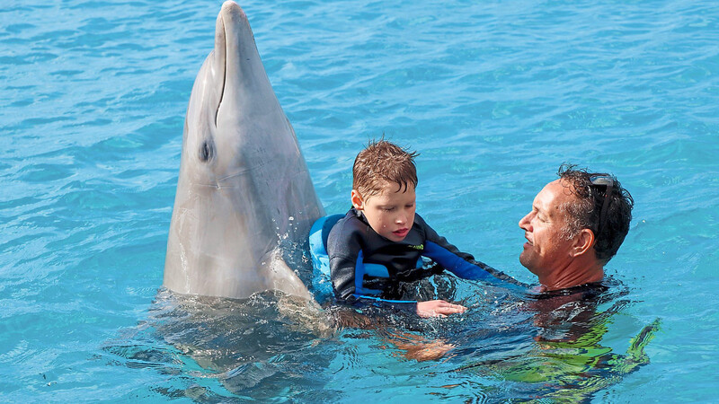 Erfolgreich verlaufen ist die Delphintherapie für den kleinen Felix Ammersbach.