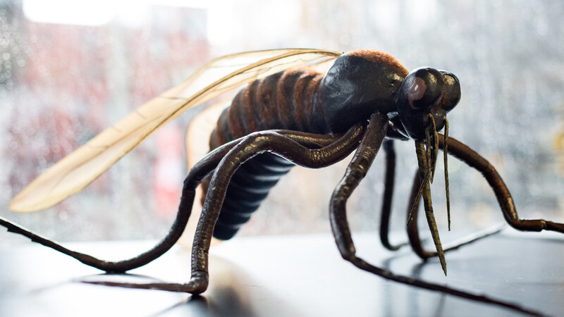 Dieses Modell einer Stechmücke steht in einem Hamburger Forschungsinstitut. Die Quälgeister sind lästig - doch es gibt Gegenrezepte.