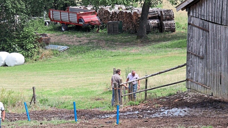 Polizisten in Zivil stehen auf der Weide bei Gleißenberg, auf der zuvor ein Stier zwei Menschen getötet hat.