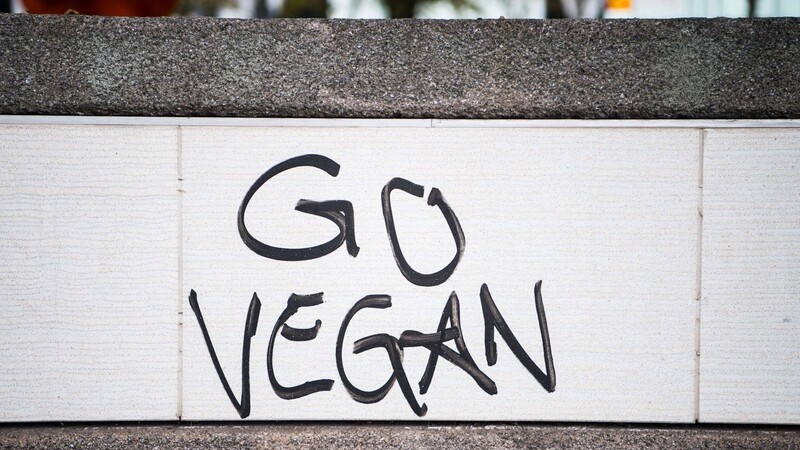 Der Spruch "Go Vegan" wurde auf eine Mauer gesprüht. Zum Jahresbeginn beteiligen sich Menschen weltweit an der Initiative "Veganuary" und verzichten einen Monat auf tierische Produkte.