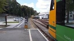 Der Bund Naturschutz setzt sich auch mit Wanderungen für einen Bahn-Dauerbetrieb der Strecke Gotteszell-Viechtach ein.