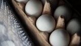 Eier des Herstellers Axvitalis GmbH wurden wegen Verdachts auf Salmonellen aus dem Handel genommen (Symbolbild).