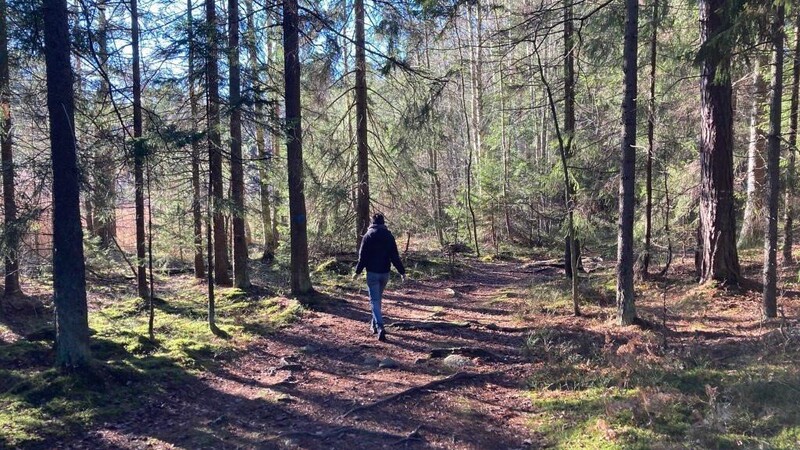 Was Julia an ihrer neuen Heimat Schweden besonders gefällt, sind die Wälder.