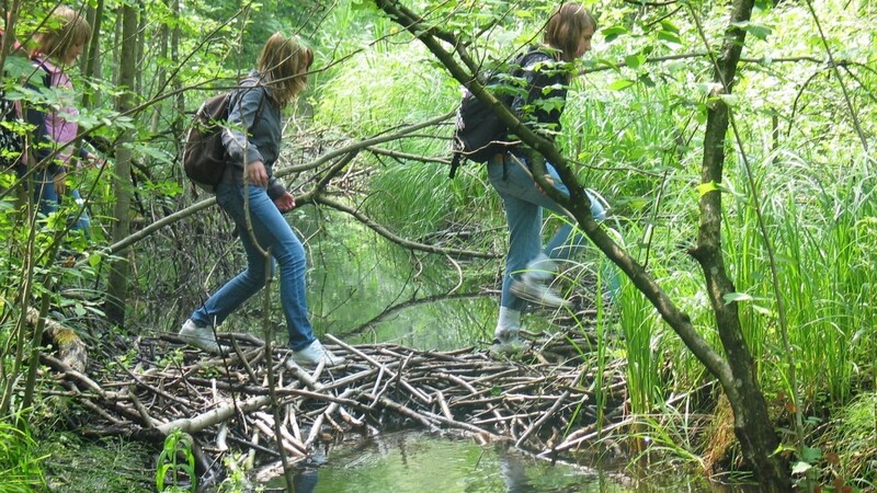 Die Wildnis im Rainer Wald erkunden können Kinder zusammen mit der LBV-Umweltstation. Der 240 Hektar große Urwald ist das größte LBV-eigene Schutzgebiet.