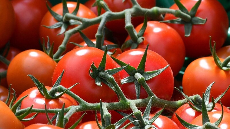 Tomaten sind bekanntlich Nachtschattengewächse. Ein Mann aus Allershausen hatte das aber offenbar allzu wörtlich genommen.