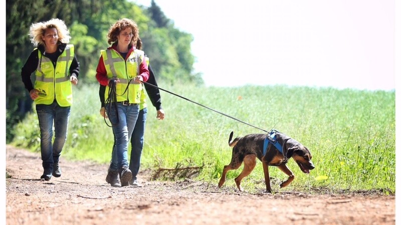 Bei Arnbruck kamen bei einer Suchaktion auch Hunde zum Einsatz.