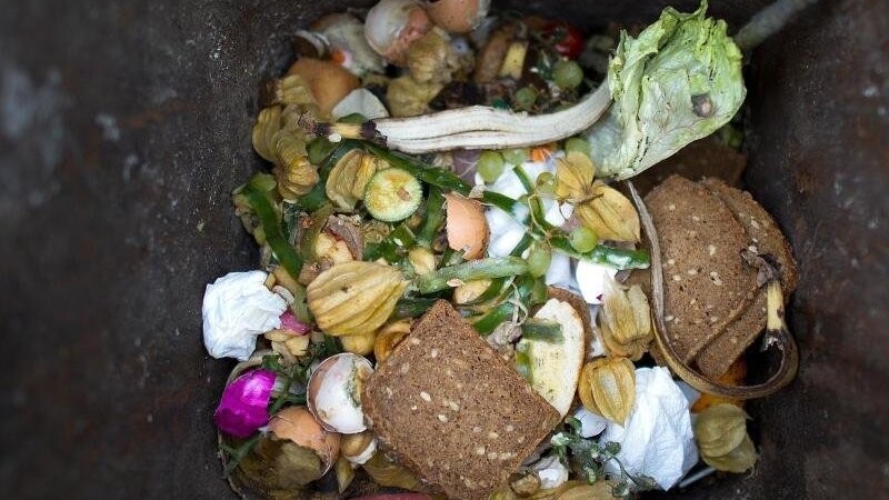 Lebensmittel liegen in einer Bio-Mülltonne.
