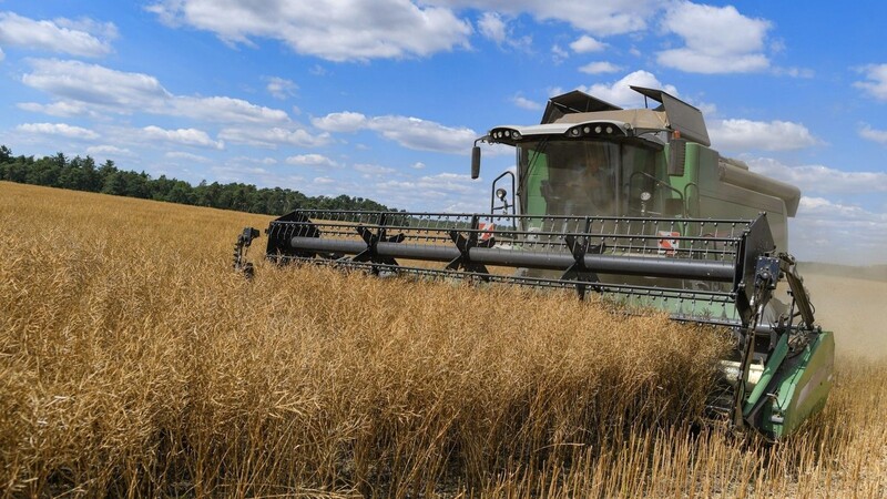 Laut EU-Kommission liefern Ukraine und Russland zusammen rund 34 Prozent des Weizens für die Weltmärkte. (Symbolbild)