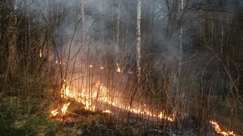 Nach dem Waldbrand bei Böbrach (Bild) bittet die Polizei um Zeugenhinweise.