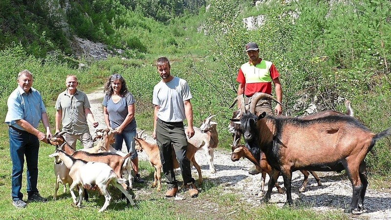 Das Team bestehend aus Heinrich Schmidt (v.li.) und Matthias Rohrbacher vom Naturpark, den Tierhaltern Eva Weiß und Ludwig Scherm mit ihren Ziegen, sowie Landschaftspfleger Sebastian Zach.