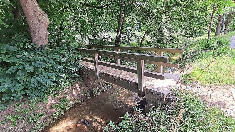 Der Schweinbach soll durchgängiger und stellenweise tiefer werden. Außerdem wird der Damm ertüchtigt und die Brücke zum Naturschutzgebiet (Bild) und das kleine Wehr unweit der LA14 werden erneuert.