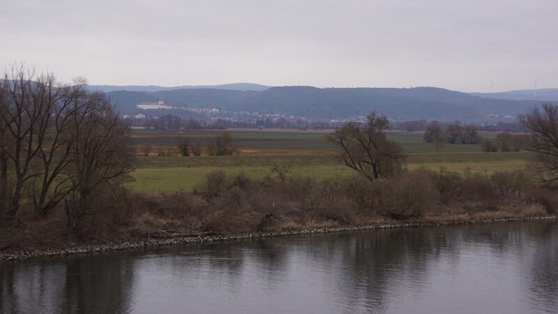Die Donau zwischen Wörth und Pfatter. Hier ist ein Flutpolder geplant, gegen den sich massiver Widerstand regt.