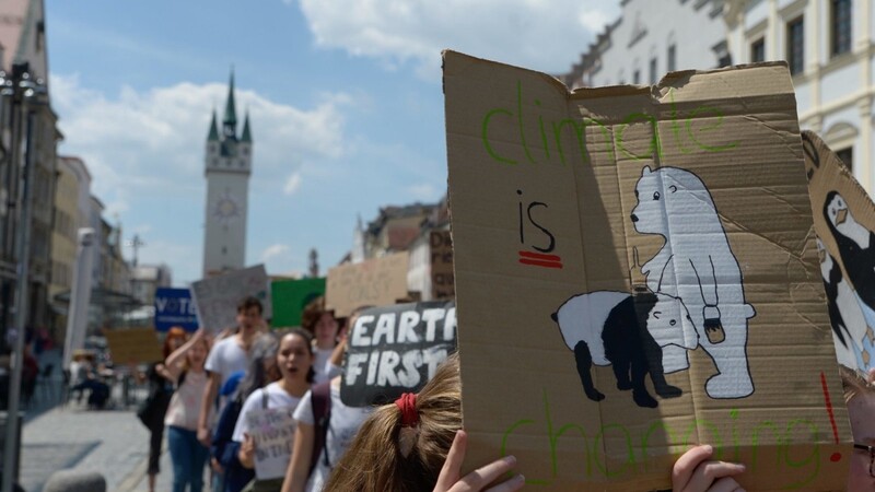 #FridaysForFuture! Auch Schüler und Lehrer aus Straubing demonstrierten am Freitag für eine bessere Klimapolitik.
