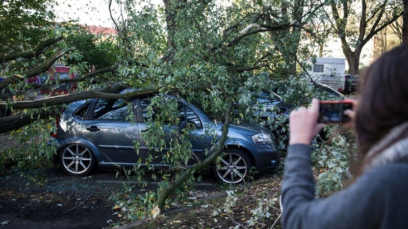Ein umgestürzter Baum liegt auf mehreren Autos in einer Straße in Hamburg während eine Frau mit ihrem Smartphone die Szenerie fotografiert.