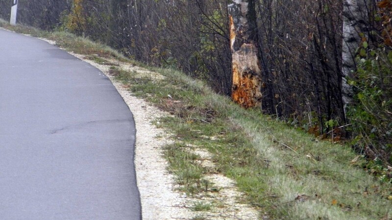 Am Dienstag prallte ein 54-Jähriger bei Postau im Landkreis Landshut gegen einen Baum und starb. Nun wurde bekannt, dass er vor der Polizei geflüchtet war.