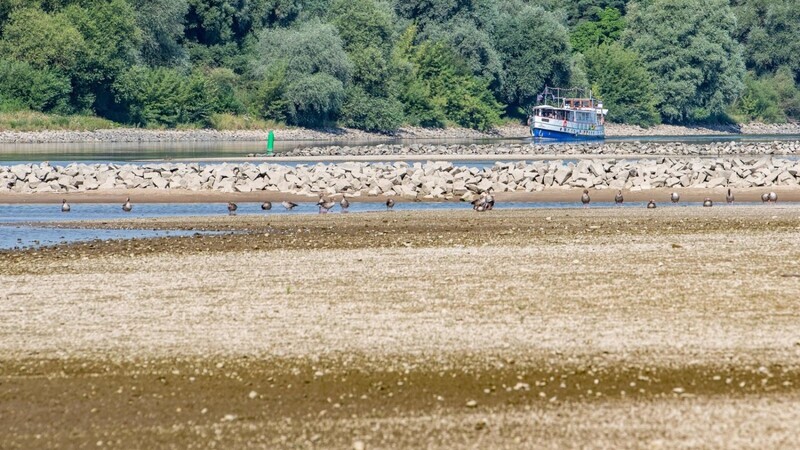 2019 war es heiß. Das hatte nicht nur Auswirkungen auf die Flüsse - wie hier die Donau -, sondern auch auf die Grundwasserpegel der Region. Sie fielen deutlich.