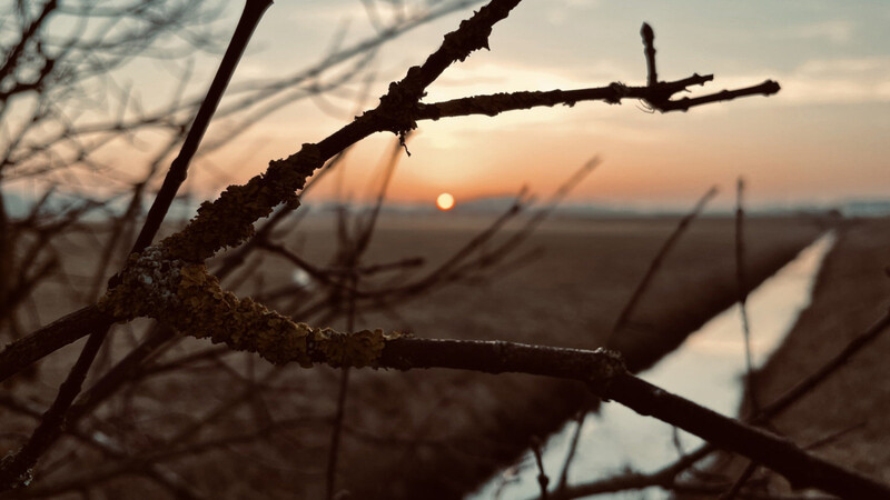 Über Linien, die Äste eines Baums sind, rahme ich den Sonnenuntergang ein und lenke die Aufmerksamkeit des Betrachters genau dorthin.