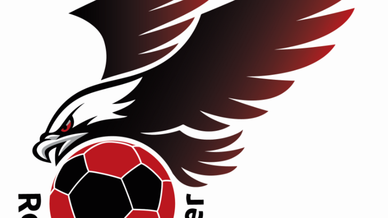 Das neue Logo der Regensburg Adler.