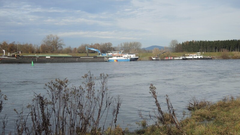Bei Hochwasser wird die Donau zur Bedrohung.
