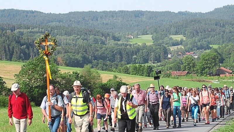 Die 115 Wallfahrer aus der Pfarrei St. Jakob Cham kurz vor der Anhöhe nach Weißenregen.