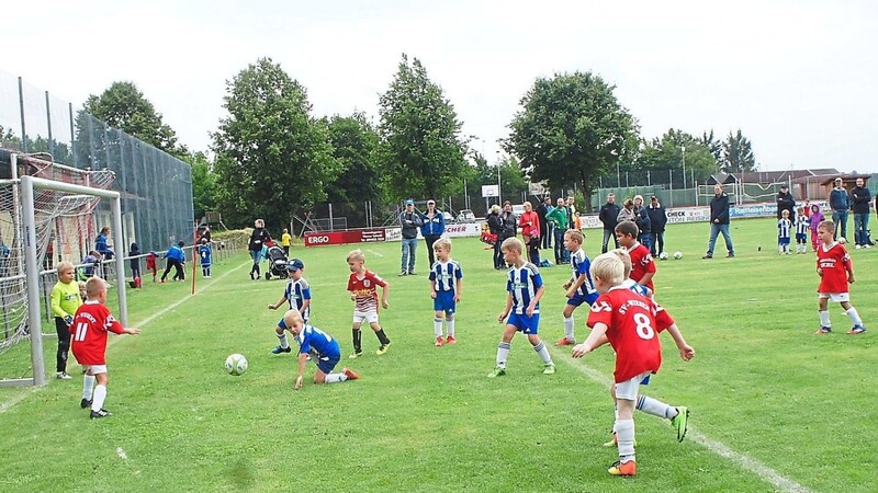 Die Jugendförderung für die Vereine, wie etwa für die Fußball-Jugendabteilung des SV Wiesent, wird um 50 Prozent erhöht.