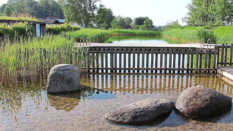 Am 26. Juni beginnt die Badesaison im Tiefenbacher Naturbad.