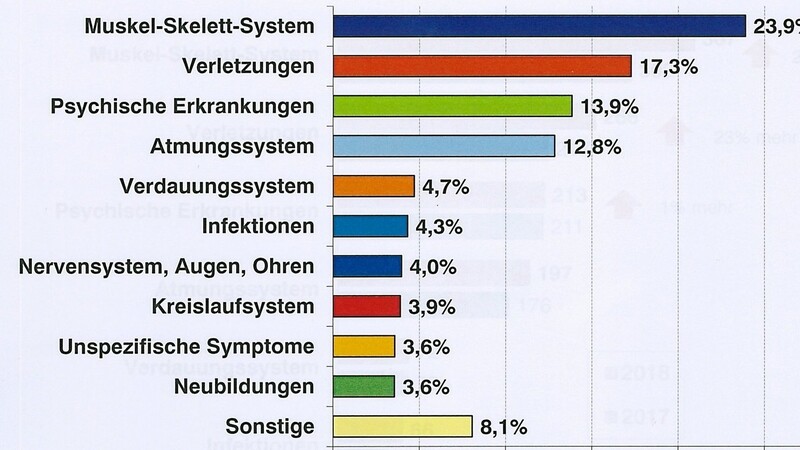 Das Ranking der Erkrankungsgruppe, die 2018 die meisten Fehltage im Landkreis Cham verursacht haben.