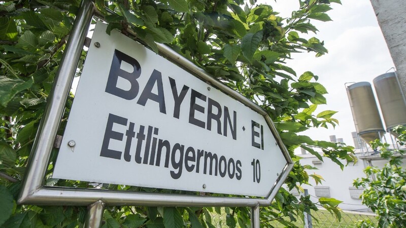 Die Staatsanwaltschaft Regensburg hat gegen den Ex-Chef der Firma Bayern-Ei Anklage erhoben.(Archiv)