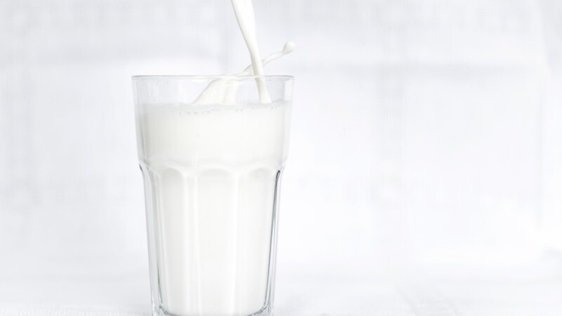 Am 1. Juni ist Tag der Milch. Der Preis für die Milch ist so hoch wie seit Jahren nicht.