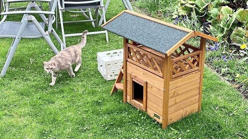Im Garten können sich die Katzen in einem Spielhäuschen verstecken.
