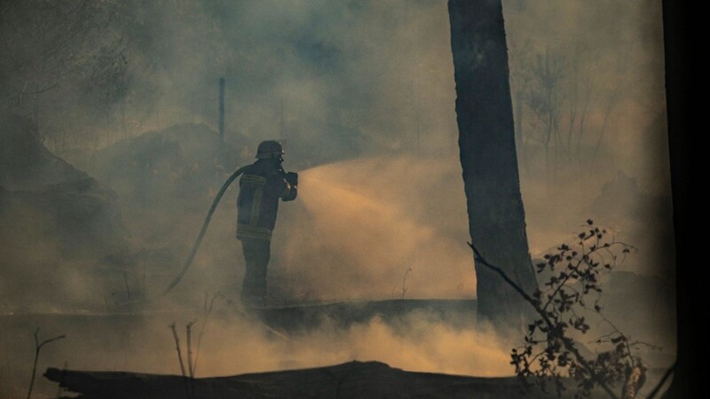 Feuerwehrleute bekämpfen einen Waldbrand bei Raunheim.
