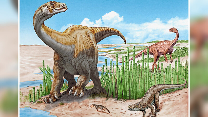 Im Vordergrund ist die neue Gattung, Schleitheimia, zu sehen. Rechts davon im Hintergrund ein Plateosaurus.