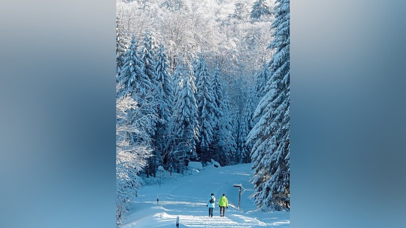 Das Schöen so nah: Wanderer können auch im Nationalpark Bayerischer Wald im Schnee unterwegs sein.