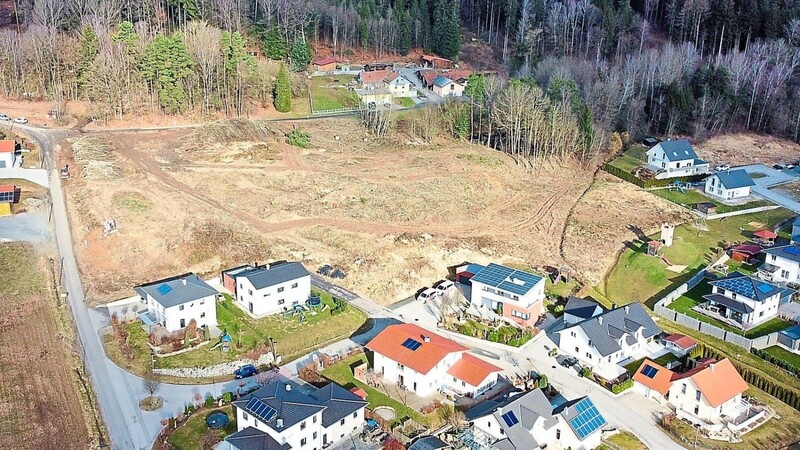 Das Wäldchen am Grabitzer Berg ist verschwunden. Auch der Rest der Bäume (im Bild oben rechts) wird noch gefällt. Dort sollen 13 Einfamilien- und fünf Mehrfamilienhäuser entstehen.