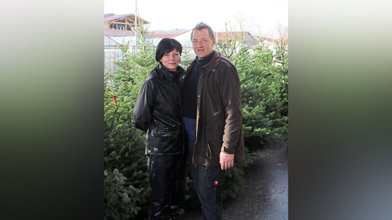 Walter Geiß, seine Nichte Martina und auch der Rest der Familie sind seit Anfang Dezember im Stress: Die Christbaum-Saison hat begonnen.