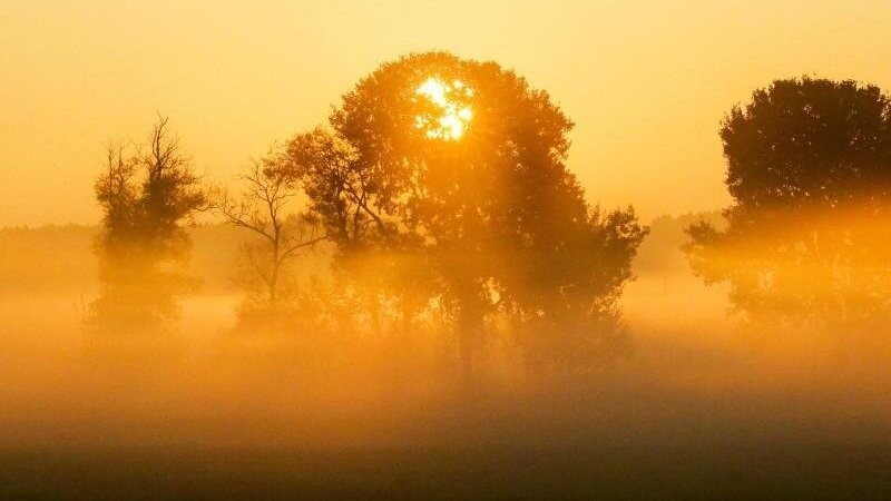 Noch Spätsommer oder schon Frühherbst? Im württembergischen Riedlingen strahlt die Morgensonne durch den Nebel.