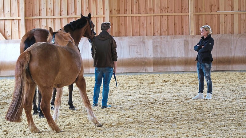 Mit gezielten Fragen geht Franziska Müller den Problemen des Klienten beim MindMirror-Coaching mit Hilfe der Pferde auf den Grund.