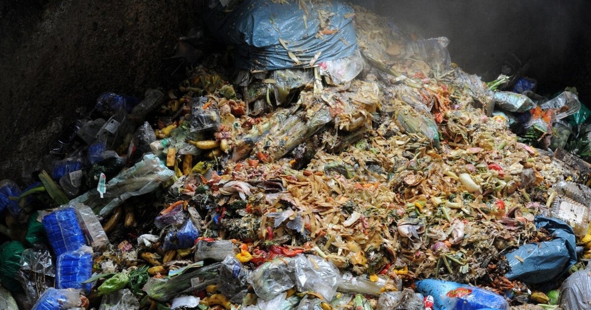 Bundesregierung - Wegwerfen ist Verschwendung: 75 Kilogramm Lebensmittel  schmeißt jede und jeder von uns durchschnittlich im Jahr in den Müll. So  werden wertvolle Ressourcen verschwendet, die beispielsweise für die  Herstellung oder den