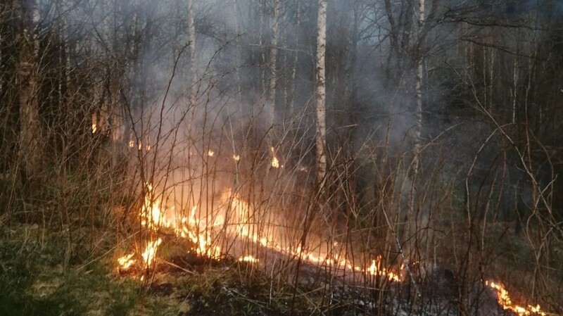 Damit es keinesfalls zu einem Waldbrand kommt, setzt die Regierung von Niederbayern übers Wochenende Beobachtungsflüge an.