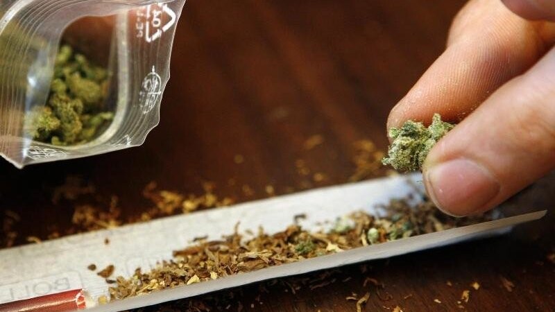 Das Gesundheitsministerium hat sich gegen eine Legalisierung von Cannabis ausgesprochen. (Symbolbild)