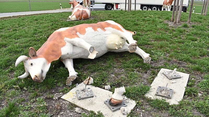 Kein Aprilscherz: Die Kuh "Berta" wurde am Wochenende am Kuhkreisel in Gottfrieding einfach "weggeflext".