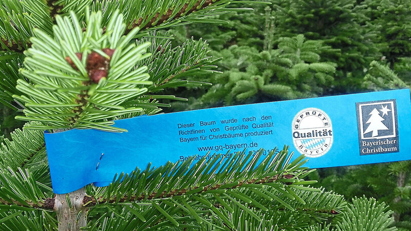 Mit dem Etikett "Geprüfte Qualität aus Bayern für Christbäume" tragen Christbaumanbauer der Regionalität Rechnung.