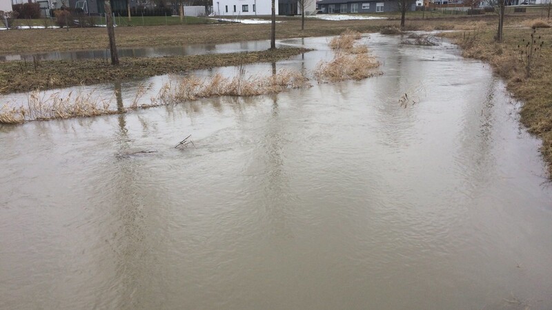 An der Georg-Kelnhofer-Straße in Alburg sind die Wiesen am Allachbach schon überschwemmt.