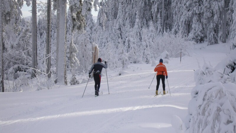 Freie Fahrt für Skilangläufer: Die Loipen des Langlaufzentrums Scheiben sind gespurt.
