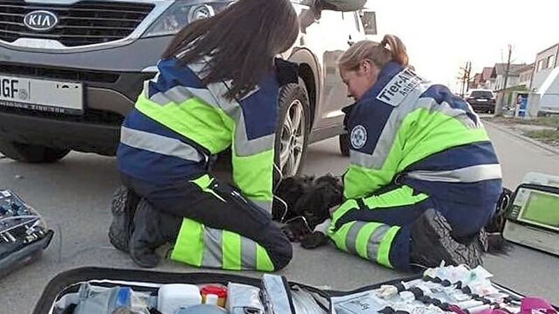 Erste Hilfe, wenn ein Tier in Not ist: die Tier-Ambulanz/Notfallrettung Niederbayern.