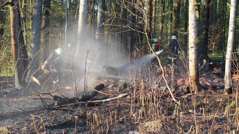 Feuerwehrmänner bei den Nachlöscharbeiten im Wald.